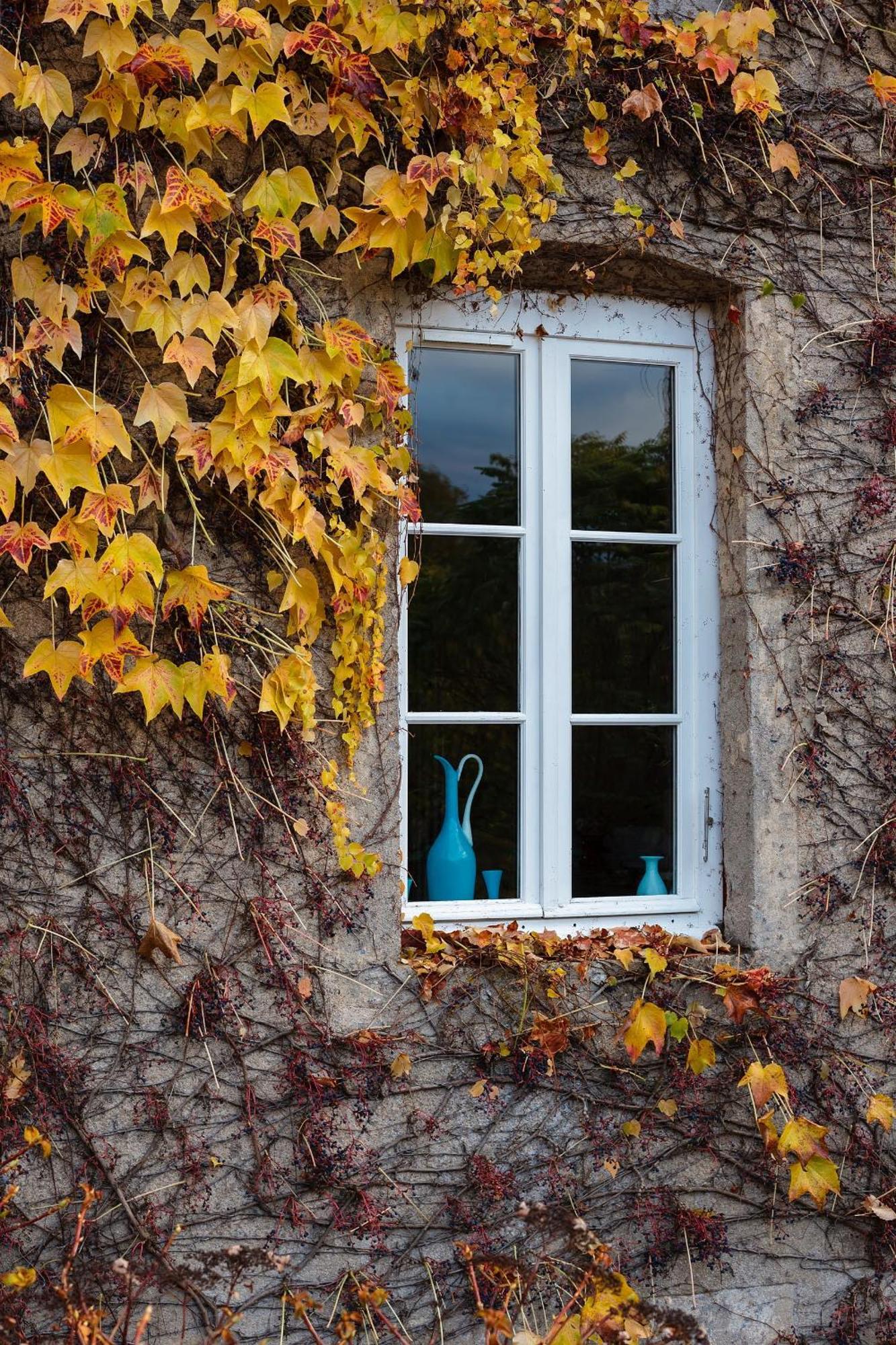 Moulin Renaudiots - Maison D'Hotes Autun Eksteriør billede