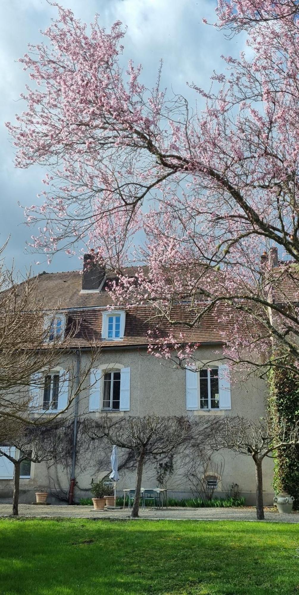 Moulin Renaudiots - Maison D'Hotes Autun Eksteriør billede